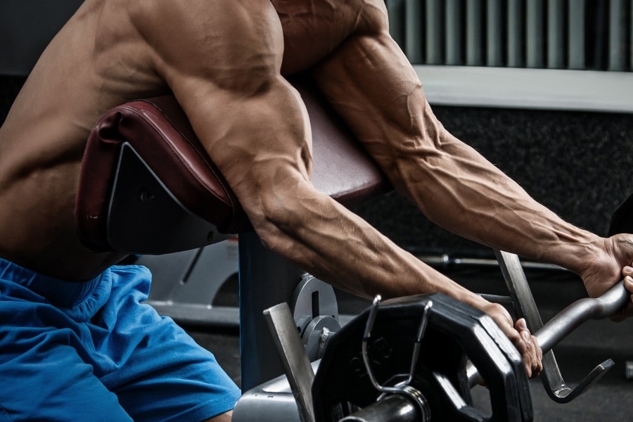 Muscle Gain Program